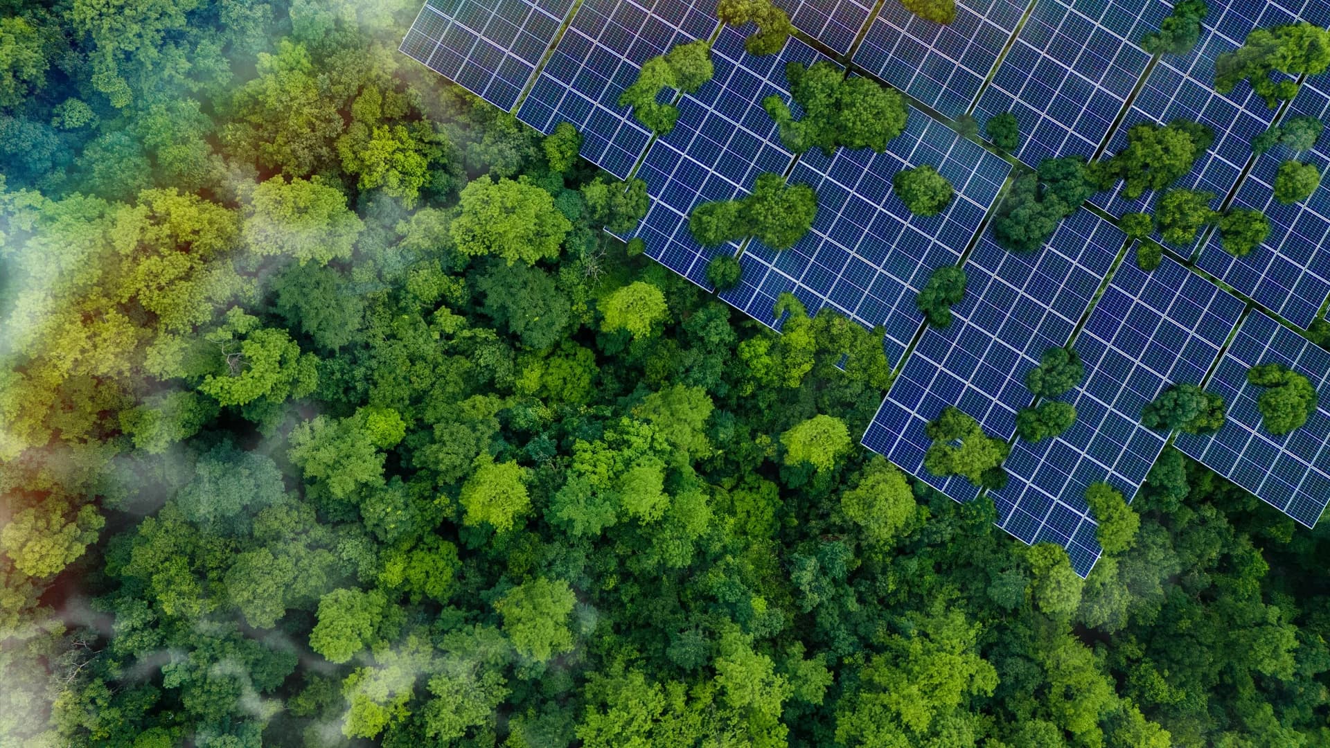 Aerial view of solar panel array